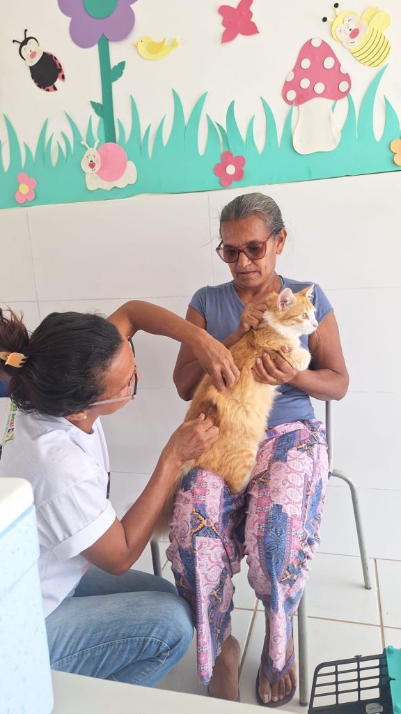 Bayeux supera meta e vacina mais de 15,6 mil cães e gatos contra a raiva